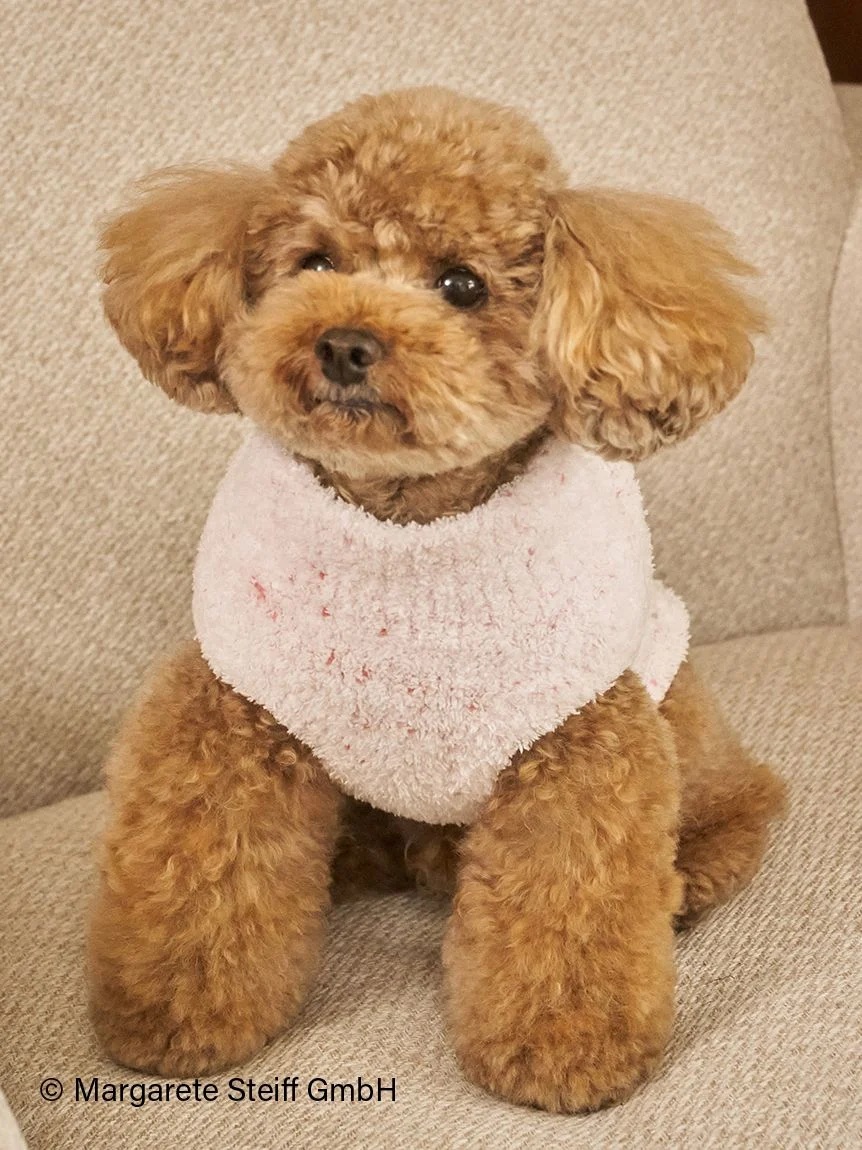 gelato pique（ジェラートピケ）【CAT&DOG】【販路限定商品】【Steiff】ハイネックプルオーバー｜全3色