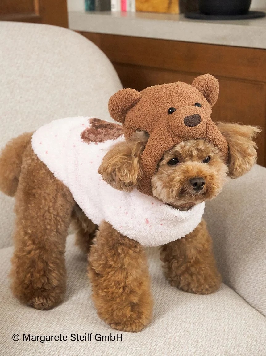 gelato pique（ジェラートピケ）【CAT&DOG】【販路限定商品】【Steiff】ハイネックプルオーバー｜全3色