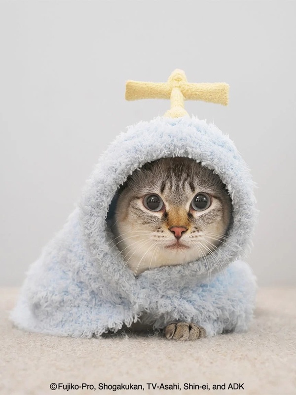 【COMING SOON】gelato pique（ジェラートピケ）【CAT&DOG】【販路限定商品】【ドラえもん】ジェラートケープ