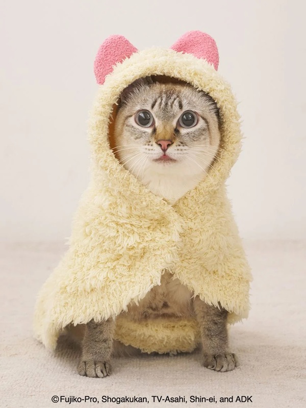 【COMING SOON】gelato pique（ジェラートピケ）【CAT&DOG】【販路限定商品】【ドラえもん】ジェラートケープ