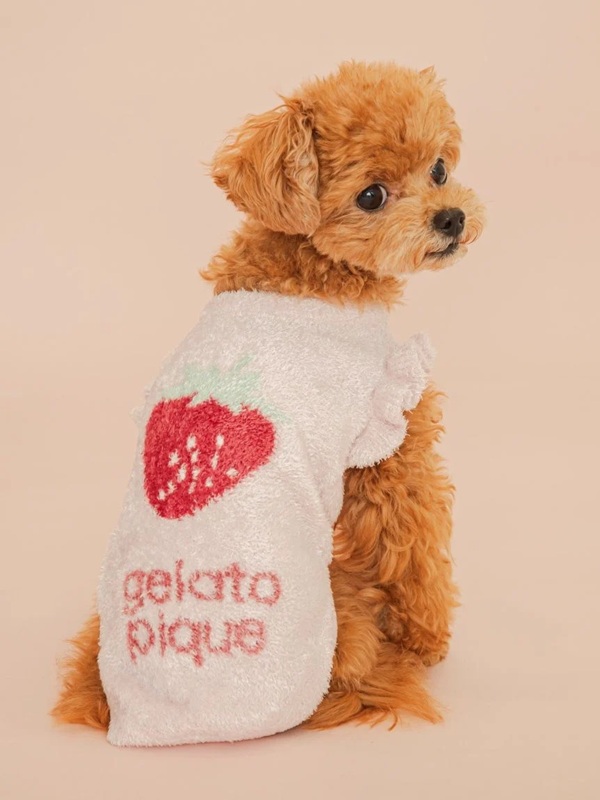 gelato pique（ジェラートピケ）【CAT&DOG】【販路限定商品】フルーツジャガードプルオーバー｜全3色