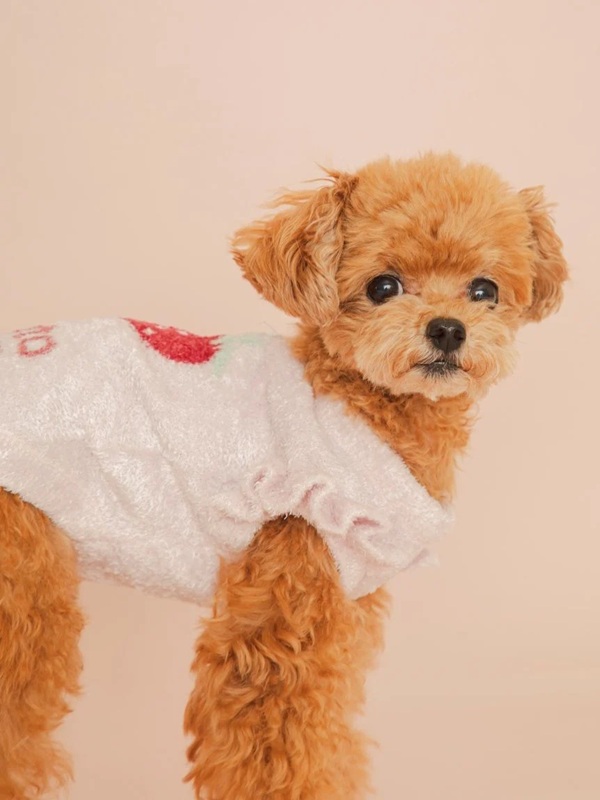 gelato pique（ジェラートピケ）【CAT&DOG】【販路限定商品】フルーツジャガードプルオーバー｜全3色