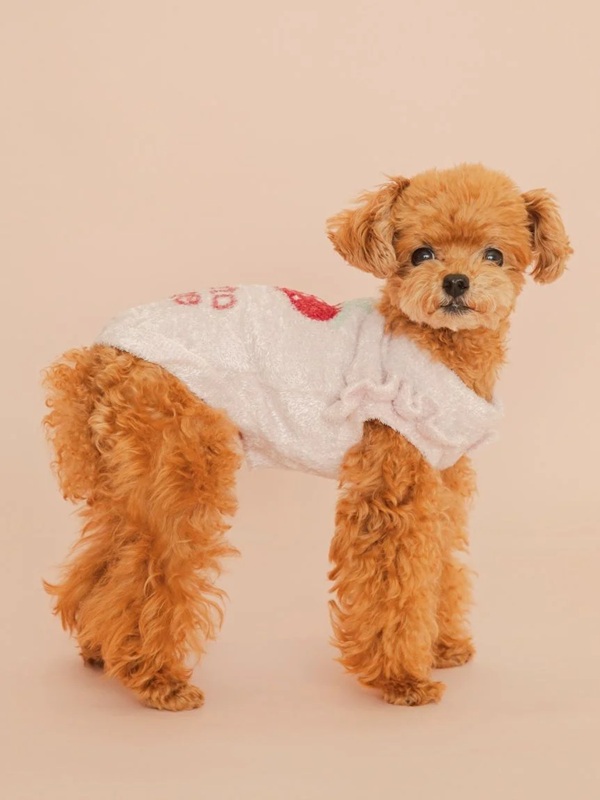 gelato pique（ジェラートピケ）【CAT&DOG】【販路限定商品】フルーツジャガードプルオーバー｜全3色