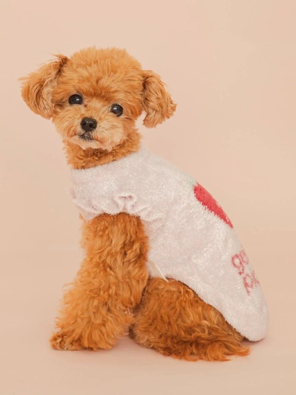 gelato pique（ジェラートピケ）【CAT&DOG】【販路限定商品】フルーツジャガードプルオーバー｜全3色