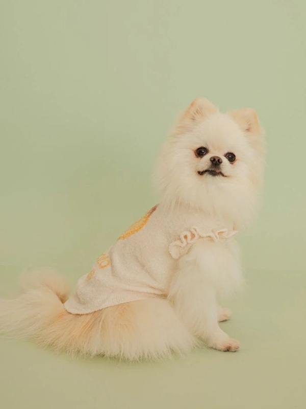 gelato pique（ジェラートピケ）【CAT&DOG】【販路限定商品】フルーツジャガードプルオーバー｜全3色