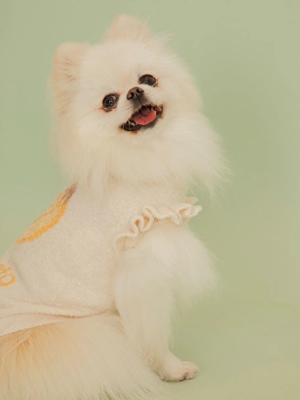 gelato pique（ジェラートピケ）【CAT&DOG】【販路限定商品】フルーツジャガードプルオーバー｜全3色