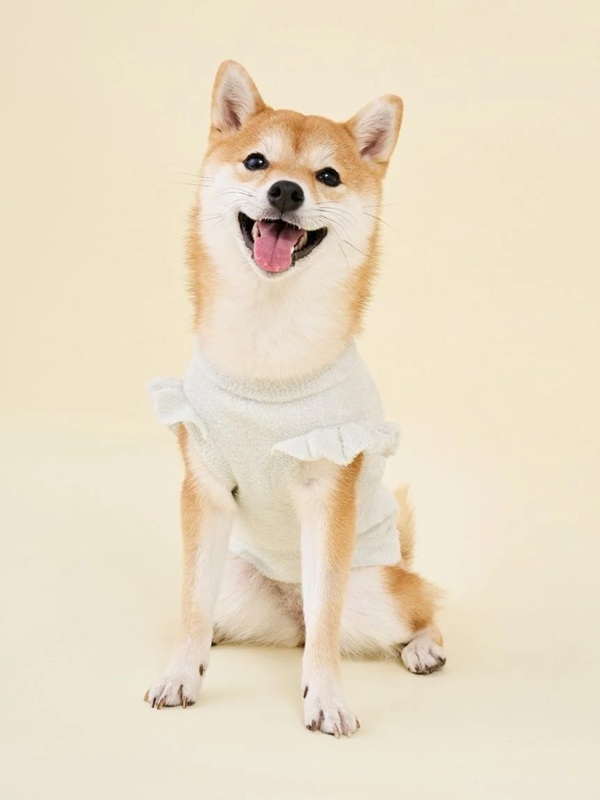 gelato pique（ジェラートピケ）【CAT&DOG】【販路限定商品】フルーツジャガードプルオーバー｜全3色