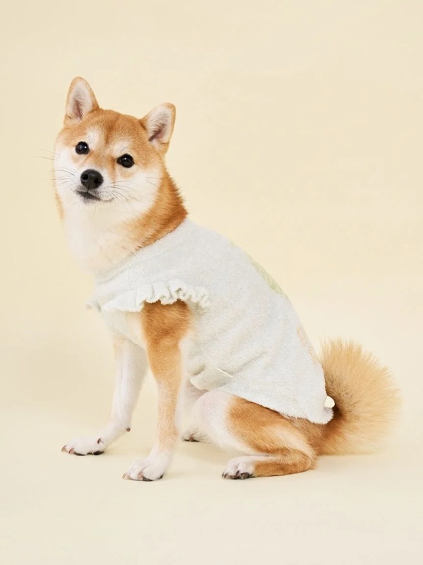 gelato pique（ジェラートピケ）【CAT&DOG】【販路限定商品】フルーツジャガードプルオーバー｜全3色