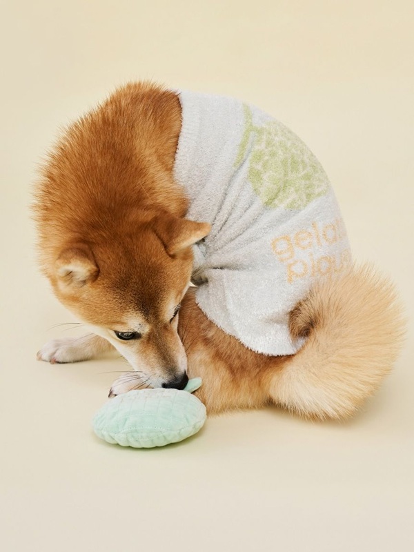 gelato pique（ジェラートピケ）【CAT&DOG】【販路限定商品】フルーツジャガードプルオーバー｜全3色