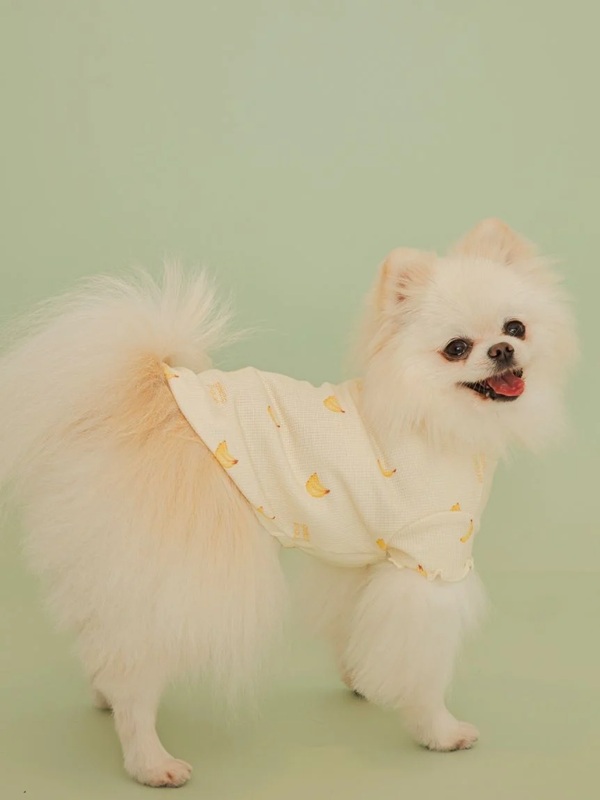 gelato pique（ジェラートピケ）【CAT&DOG】【販路限定商品】フルーツ柄ワッフルカットソープルオーバー｜全3色