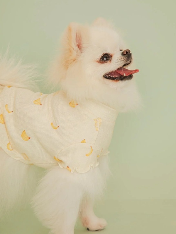 gelato pique（ジェラートピケ）【CAT&DOG】【販路限定商品】フルーツ柄ワッフルカットソープルオーバー｜全3色