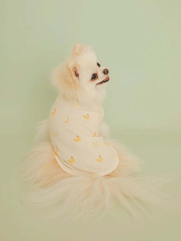 gelato pique（ジェラートピケ）【CAT&DOG】【販路限定商品】フルーツ柄ワッフルカットソープルオーバー｜全3色