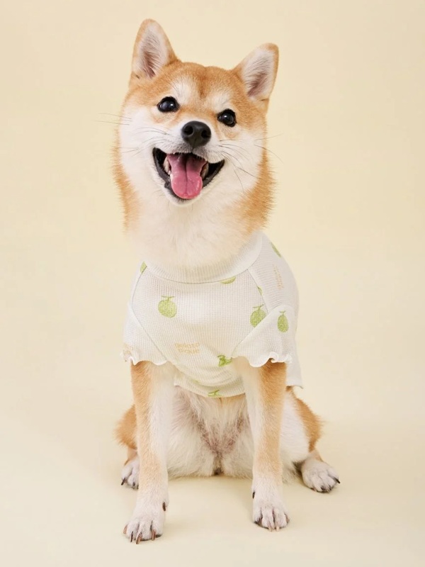 gelato pique（ジェラートピケ）【CAT&DOG】【販路限定商品】フルーツ柄ワッフルカットソープルオーバー｜全3色