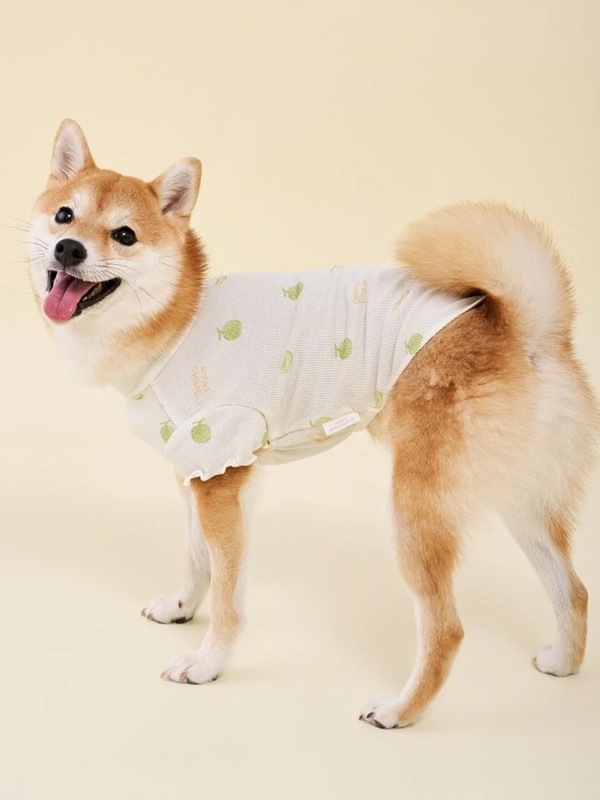 gelato pique（ジェラートピケ）【CAT&DOG】【販路限定商品】フルーツ柄ワッフルカットソープルオーバー｜全3色