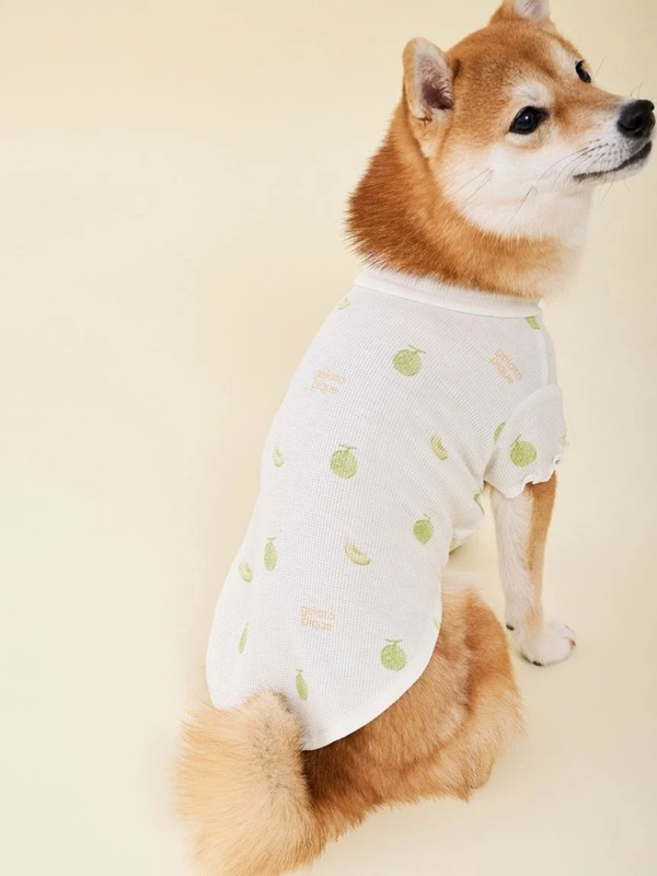 gelato pique（ジェラートピケ）【CAT&DOG】【販路限定商品】フルーツ柄ワッフルカットソープルオーバー｜全3色