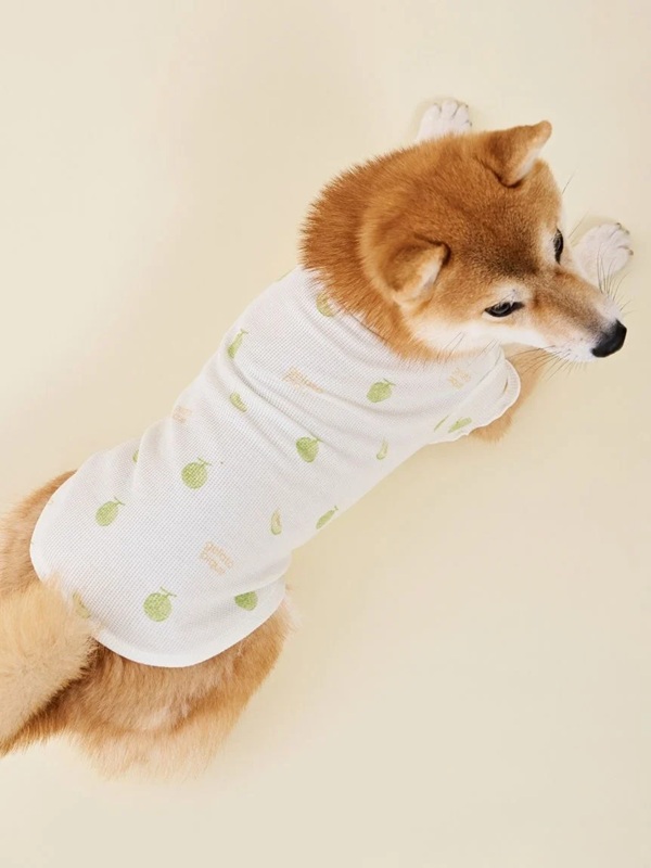 gelato pique（ジェラートピケ）【CAT&DOG】【販路限定商品】フルーツ柄ワッフルカットソープルオーバー｜全3色