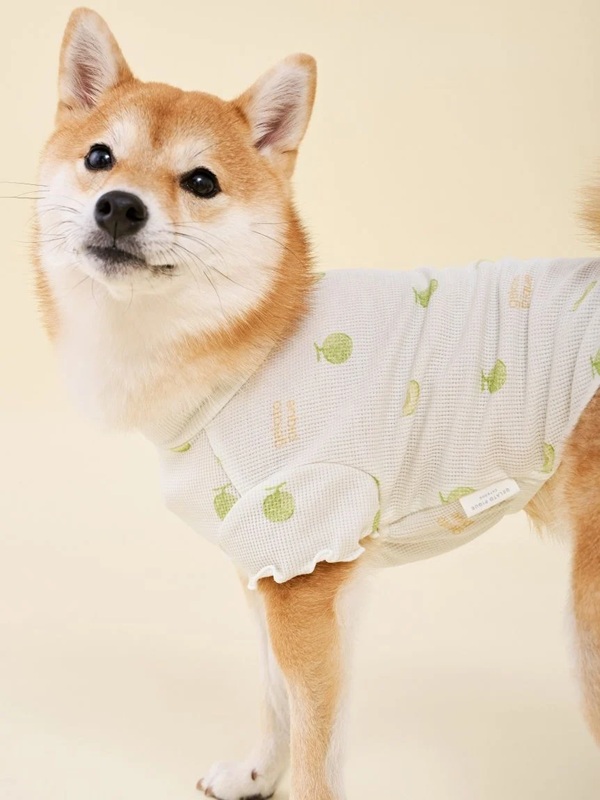 gelato pique（ジェラートピケ）【CAT&DOG】【販路限定商品】フルーツ柄ワッフルカットソープルオーバー｜全3色