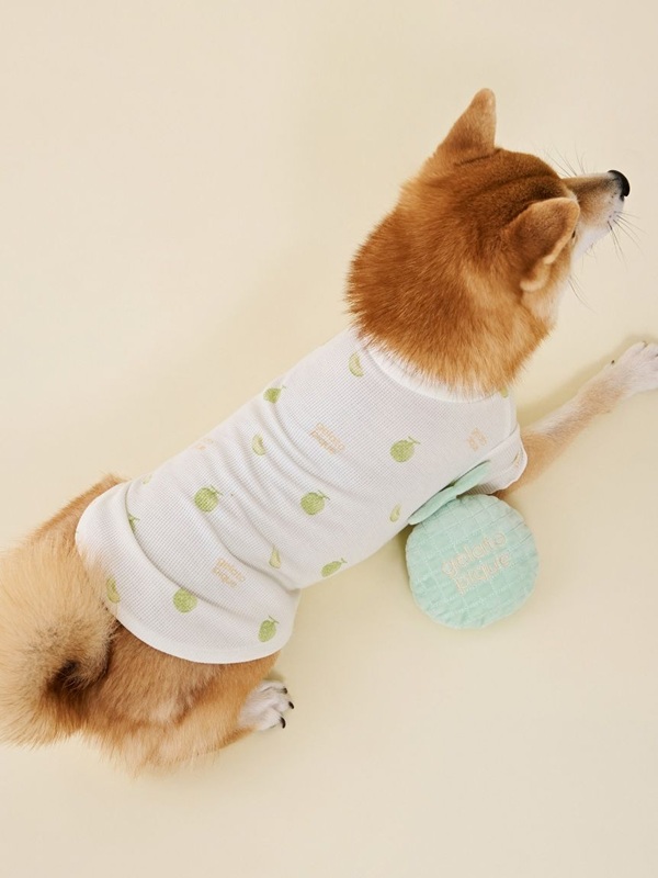 gelato pique（ジェラートピケ）【CAT&DOG】【販路限定商品】フルーツ柄ワッフルカットソープルオーバー｜全3色
