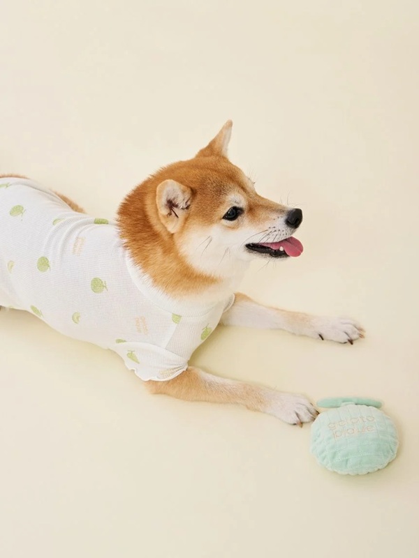 gelato pique（ジェラートピケ）【CAT&DOG】【販路限定商品】フルーツ柄ワッフルカットソープルオーバー｜全3色