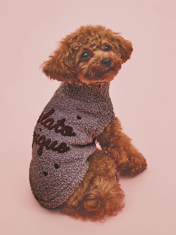 gelato pique(ジェラートピケ)【CAT&DOG】【販路限定商品】【Valentine】ハイネックロゴプルオーバー|全3色