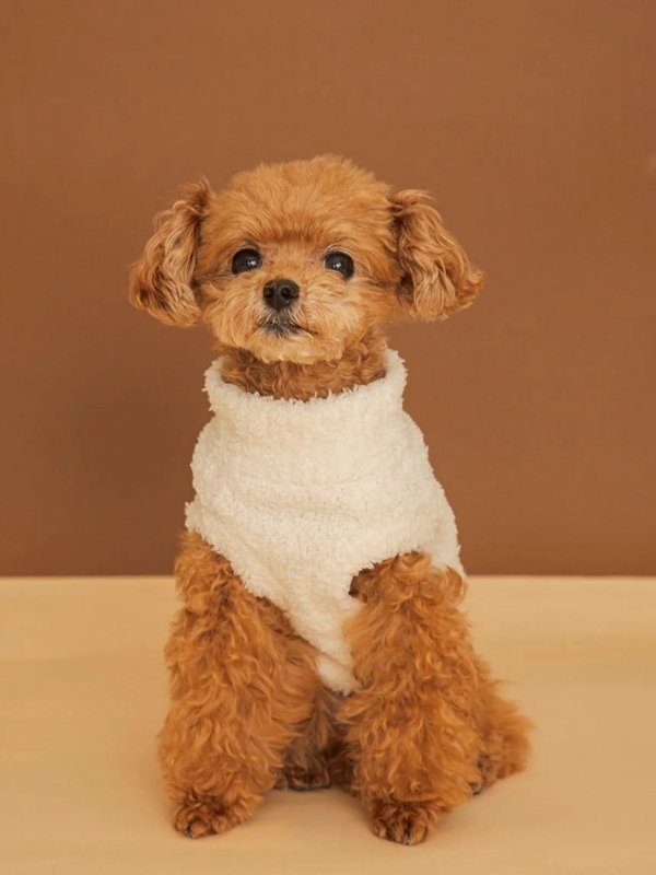 gelato pique(ジェラートピケ)【CAT&DOG】【販路限定商品】【Valentine】ハイネックロゴプルオーバー|全3色