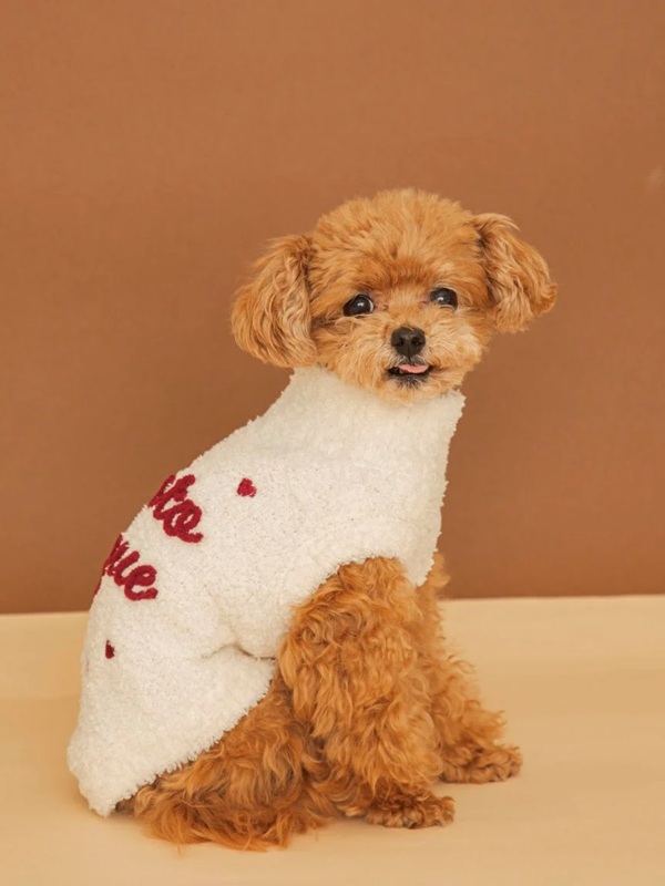 gelato pique(ジェラートピケ)【CAT&DOG】【販路限定商品】【Valentine】ハイネックロゴプルオーバー|全3色