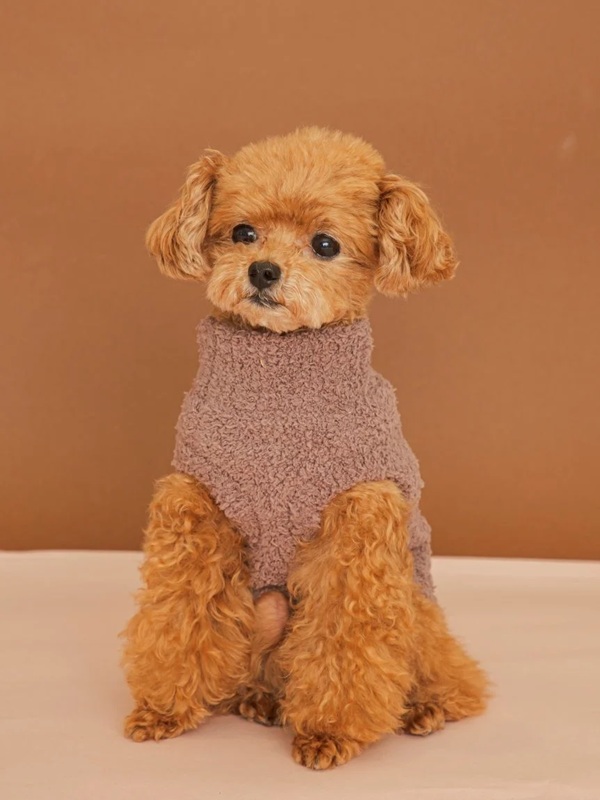 gelato pique(ジェラートピケ)【CAT&DOG】【販路限定商品】【Valentine】ハイネックロゴプルオーバー|全3色