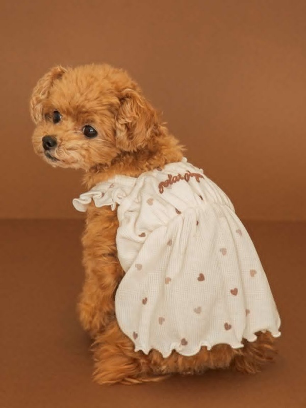 gelato pique（ジェラートピケ）【CAT&DOG】【販路限定商品】【Valentine】ハート柄フリルワンピース｜全2色