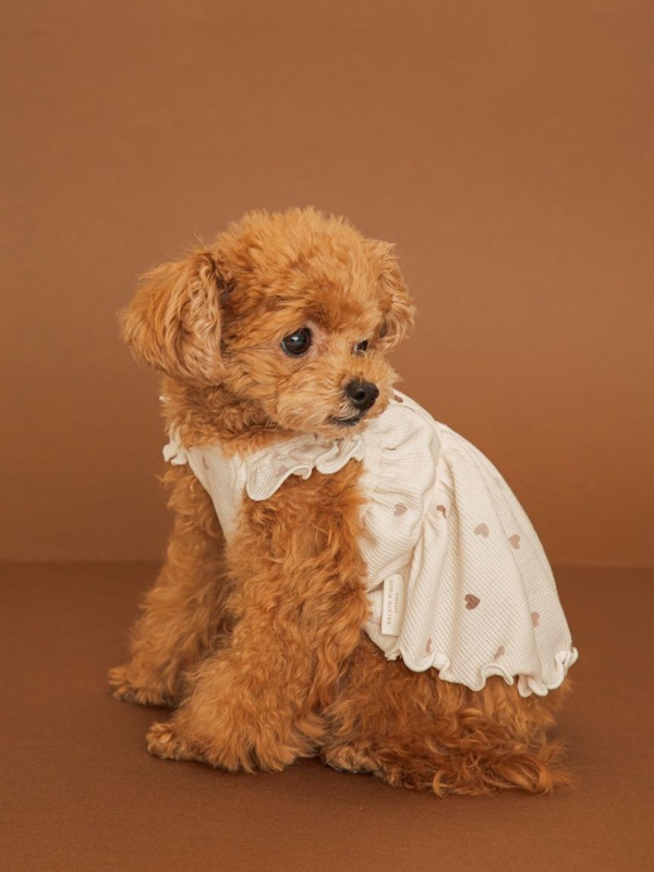 gelato pique（ジェラートピケ）【CAT&DOG】【販路限定商品】【Valentine】ハート柄フリルワンピース｜全2色
