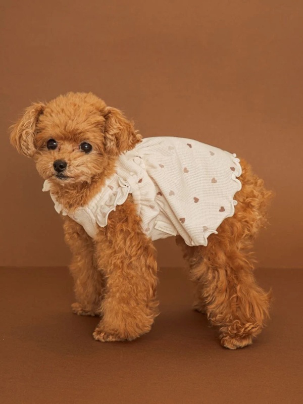 gelato pique（ジェラートピケ）【CAT&DOG】【販路限定商品】【Valentine】ハート柄フリルワンピース｜全2色