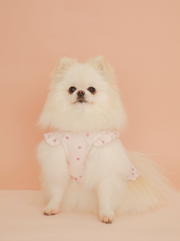 gelato pique（ジェラートピケ）【CAT&DOG】【販路限定商品】【Valentine】ハート柄フリルワンピース｜全2色