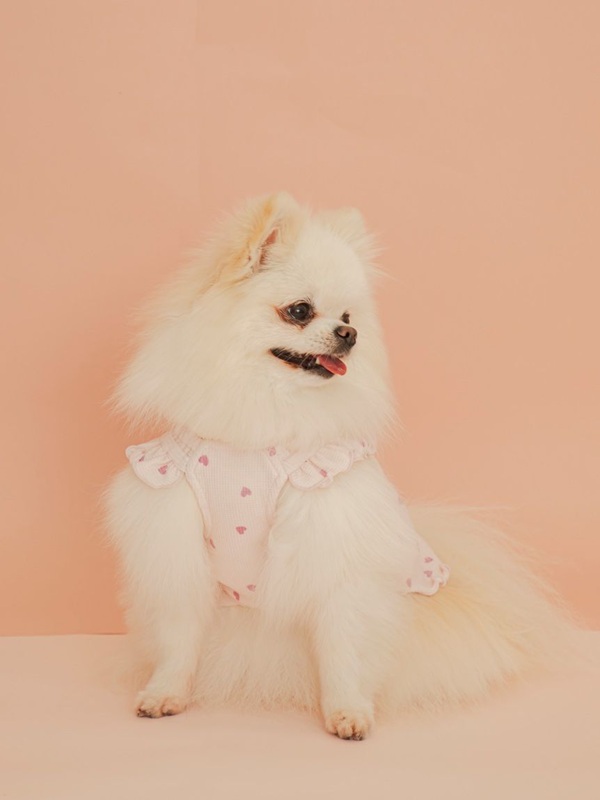 gelato pique（ジェラートピケ）【CAT&DOG】【販路限定商品】【Valentine】ハート柄フリルワンピース｜全2色