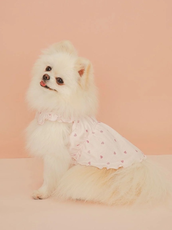 gelato pique（ジェラートピケ）【CAT&DOG】【販路限定商品】【Valentine】ハート柄フリルワンピース｜全2色