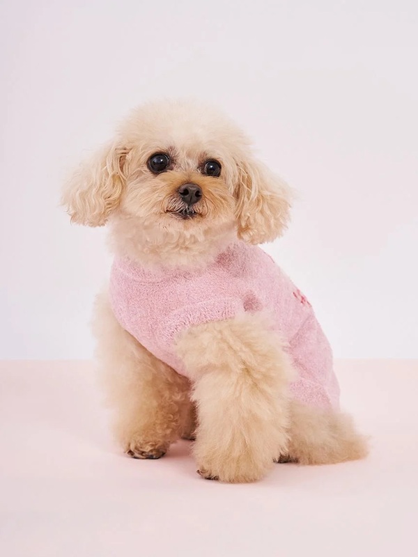 gelato pique(ジェラートピケ)【CAT&DOG】【販路限定商品】アイスジャガードプルオーバー|全2色