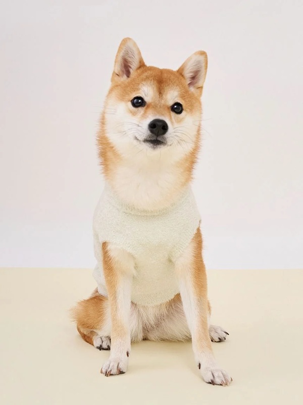 gelato pique(ジェラートピケ)【CAT&DOG】【販路限定商品】アイスジャガードプルオーバー|全2色