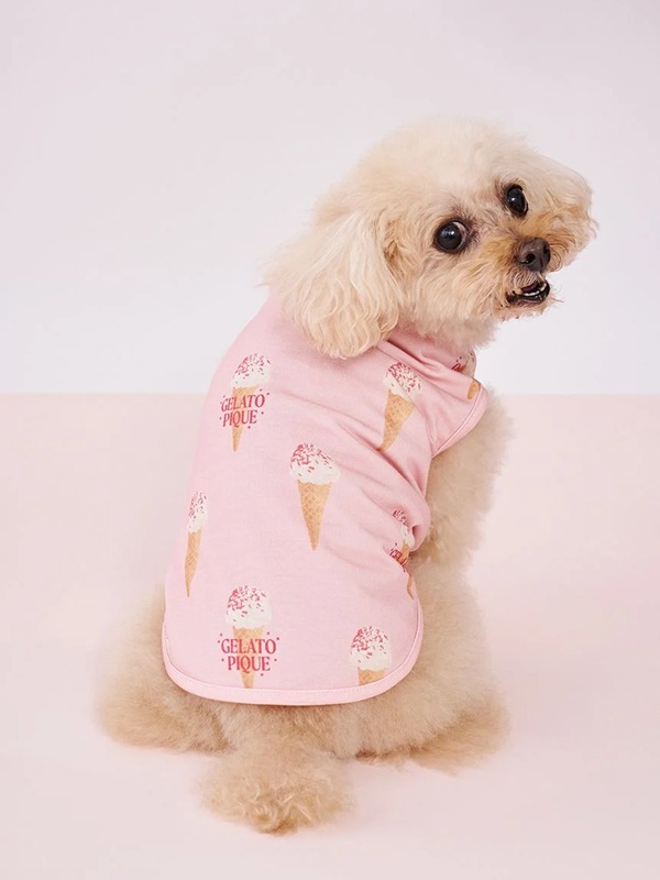 gelato pique（ジェラートピケ）【CAT&DOG】【販路限定商品】アイス柄カットソープルオーバー｜全2色