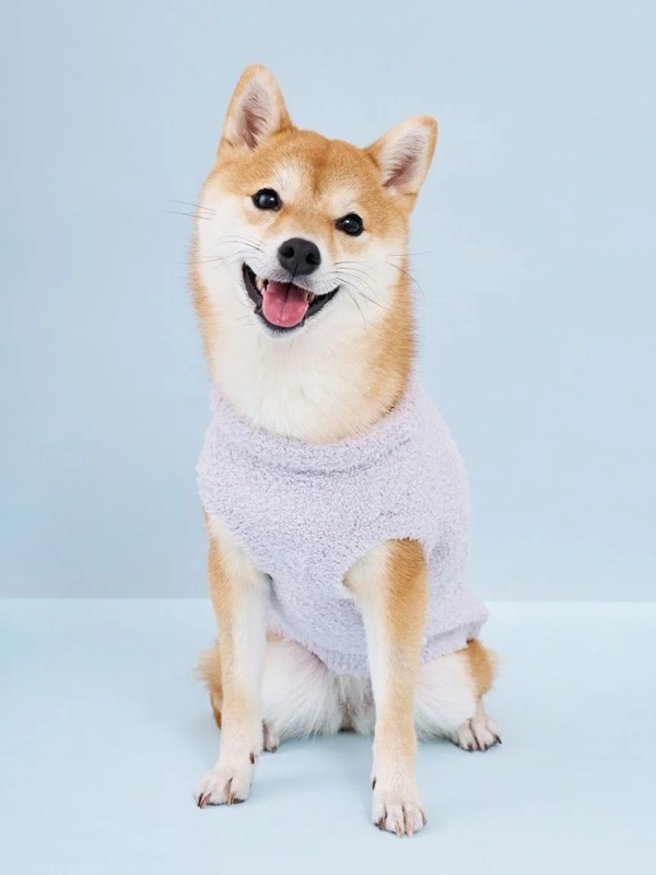 gelato pique(ジェラートピケ)【CAT&DOG】【販路限定商品】柴犬ジャガードプルオーバー|全2色