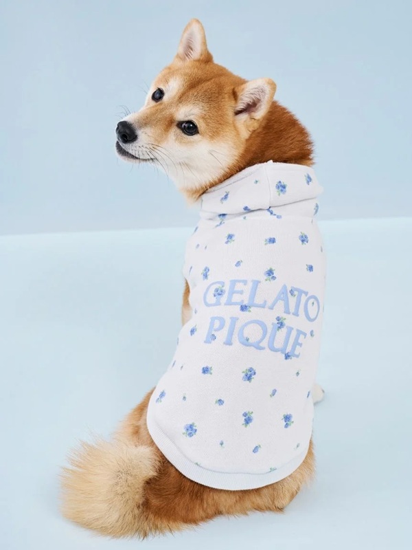 gelato pique（ジェラートピケ）【CAT&DOG】【販路限定商品】フラワー柄裏毛フーディー｜全2色
