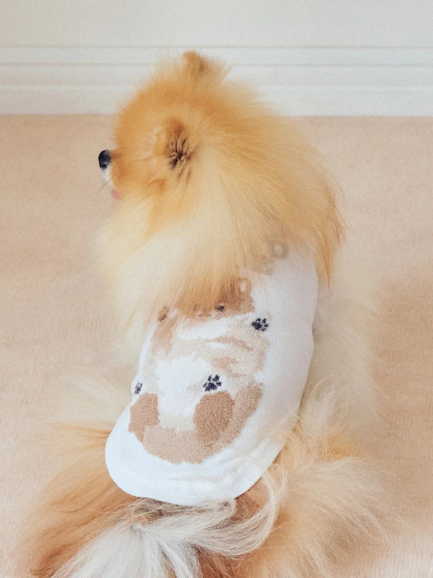 gelato pique(ジェラートピケ)【CAT&DOG】【販路限定商品】ドッグジャガードプルオーバー|全3色