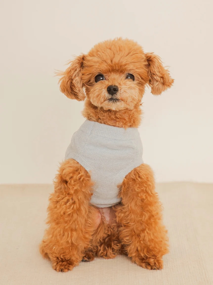 gelato pique(ジェラートピケ)【CAT&DOG】【販路限定商品】ドッグジャガードプルオーバー|全3色