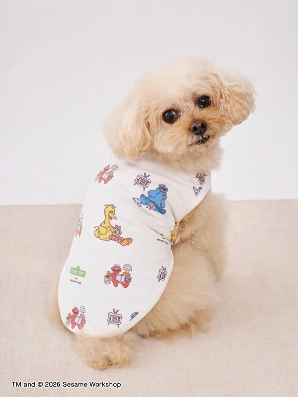 gelato pique（ジェラートピケ）【CAT&DOG】【販路限定商品】【SESAME STREET】カットソープルオーバー