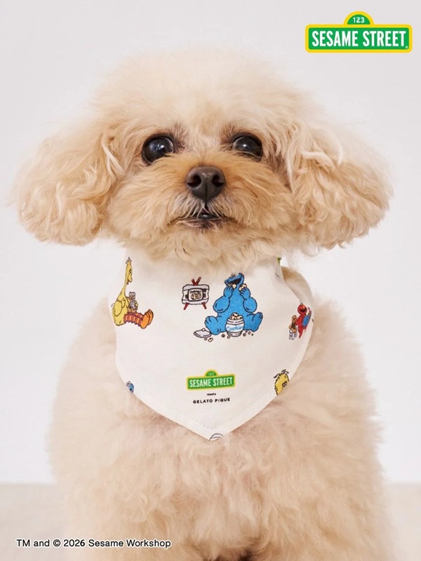 gelato pique（ジェラートピケ）【CAT&DOG】【販路限定商品】【SESAME STREET】バンダナ