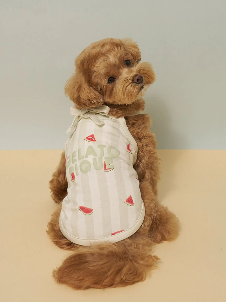 gelato pique（ジェラートピケ）【CAT&DOG】【接触冷感】ストライプ柄Coolingプルオーバー｜全4色