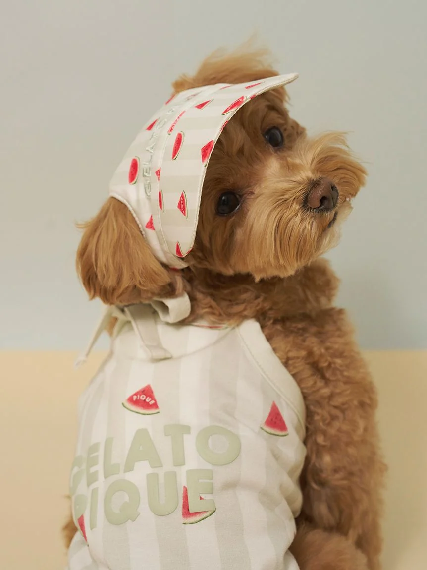 gelato pique（ジェラートピケ）【CAT&DOG】ソフトサンバイザー｜全2色