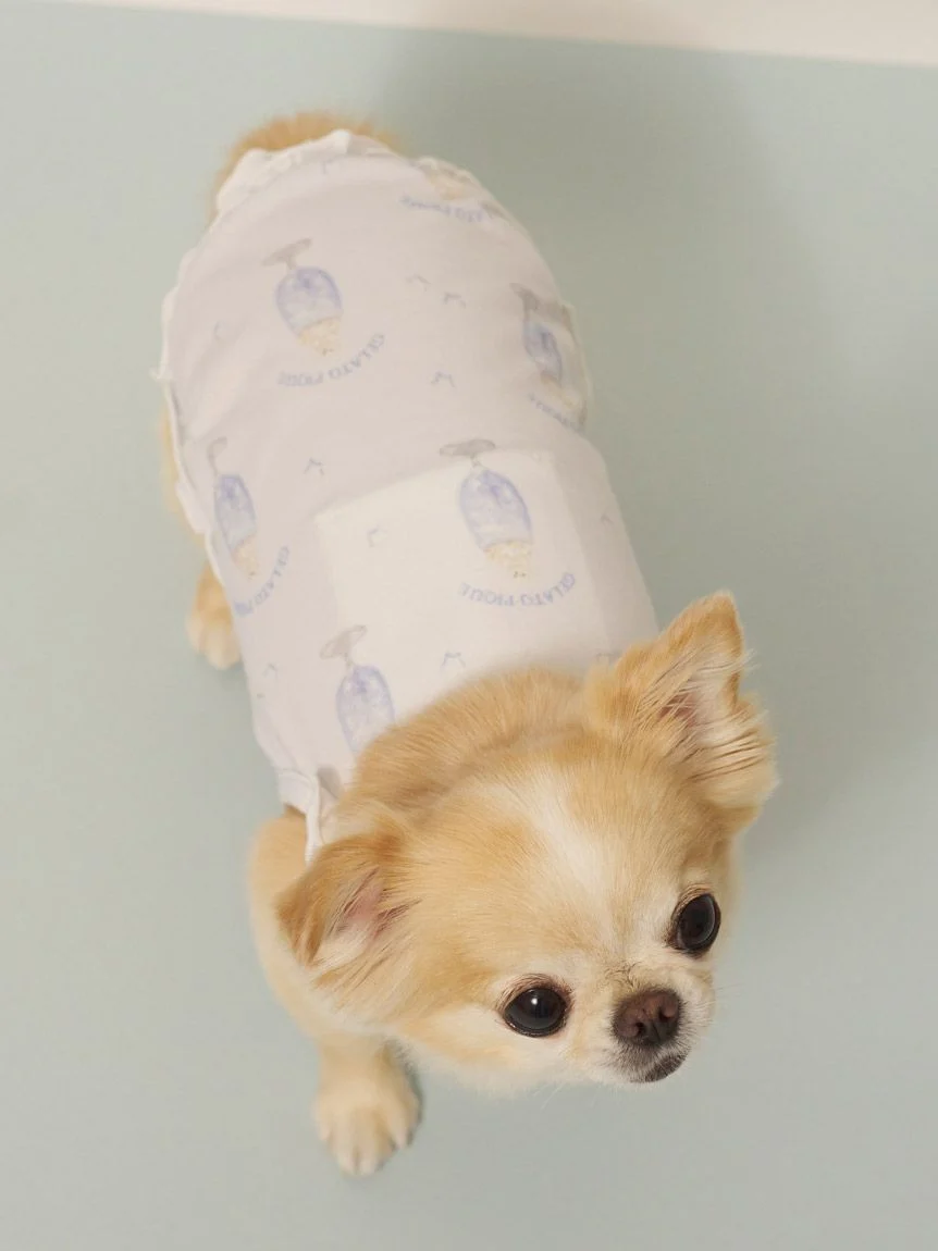 gelato pique(ジェラートピケ)【CAT&DOG】【接触冷感】シロクマひんやりスイーツ柄 Coolingフリルプルオーバー|全2色