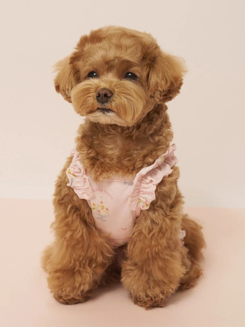 gelato pique(ジェラートピケ)【CAT&DOG】【接触冷感】シロクマひんやりスイーツ柄 Coolingフリルプルオーバー|全2色