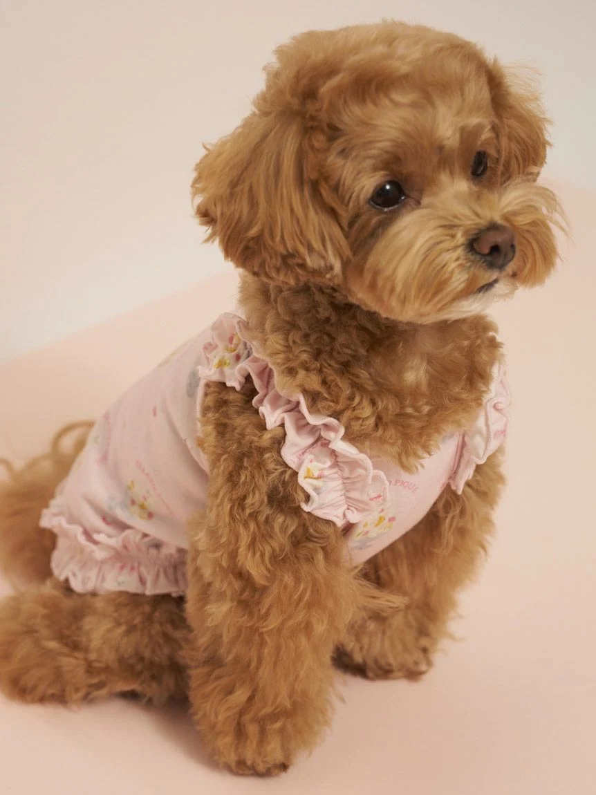 gelato pique(ジェラートピケ)【CAT&DOG】【接触冷感】シロクマひんやりスイーツ柄 Coolingフリルプルオーバー|全2色