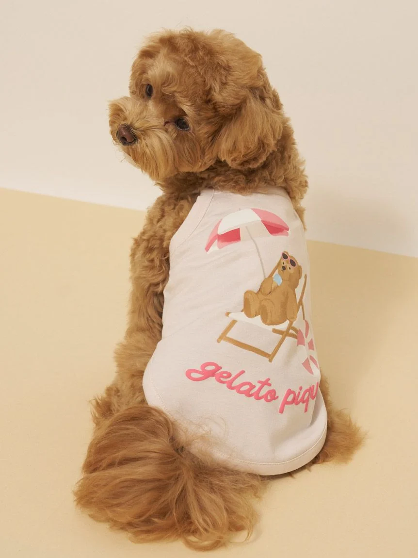 gelato pique(ジェラートピケ)【CAT&DOG】【接触冷感】サマーベア柄プルオーバー|全3色