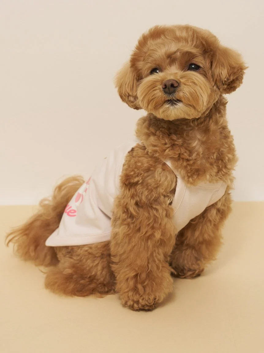 gelato pique(ジェラートピケ)【CAT&DOG】【接触冷感】サマーベア柄プルオーバー|全3色