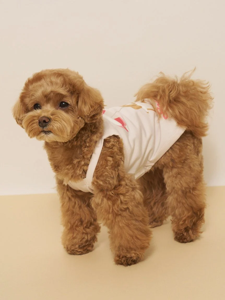 gelato pique(ジェラートピケ)【CAT&DOG】【接触冷感】サマーベア柄プルオーバー|全3色